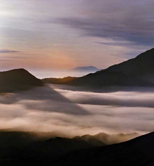 photoINDO_100_bromo